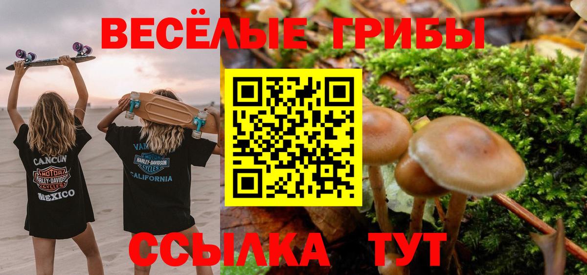 Псилоцибиновые грибы прущие грибы Ухта